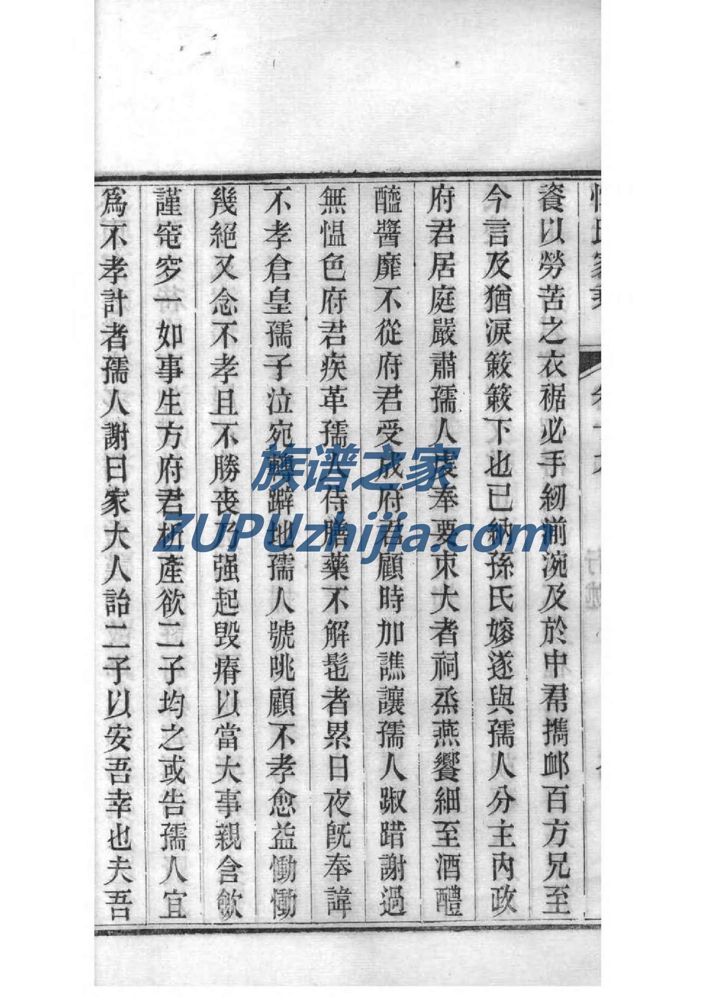 告氏族谱书籍购买