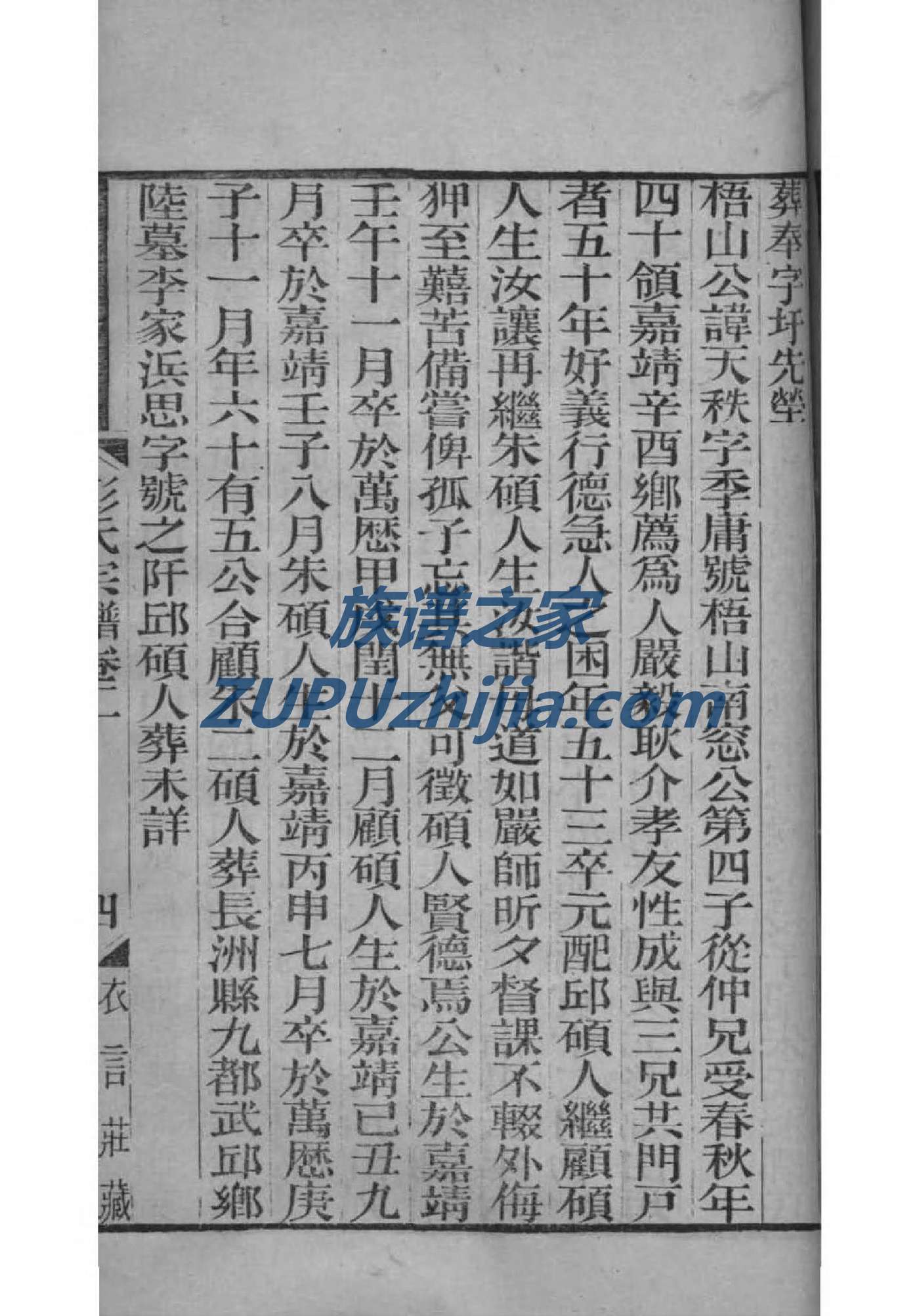 在线查族谱第几代
