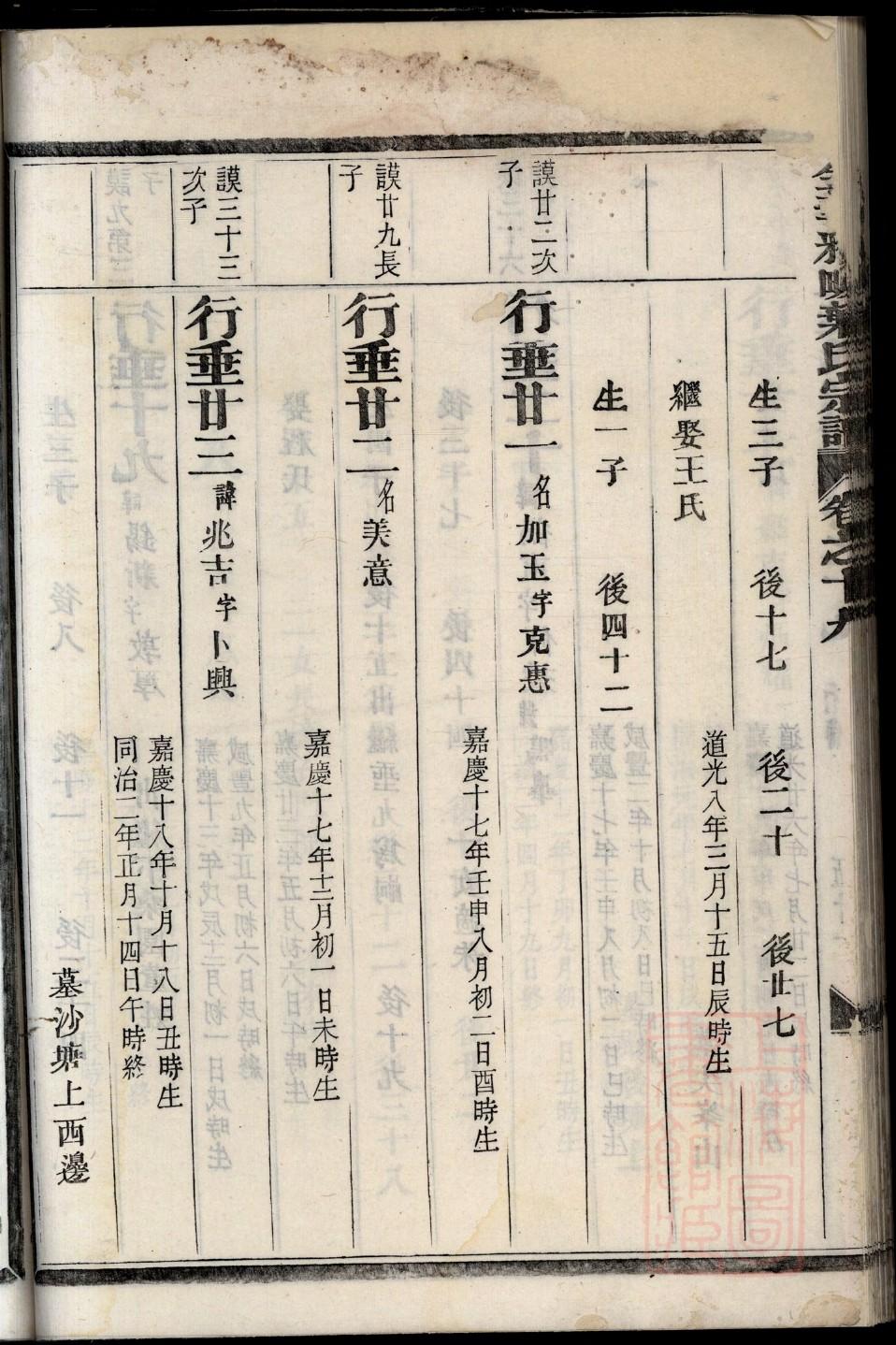 焦氏家谱网