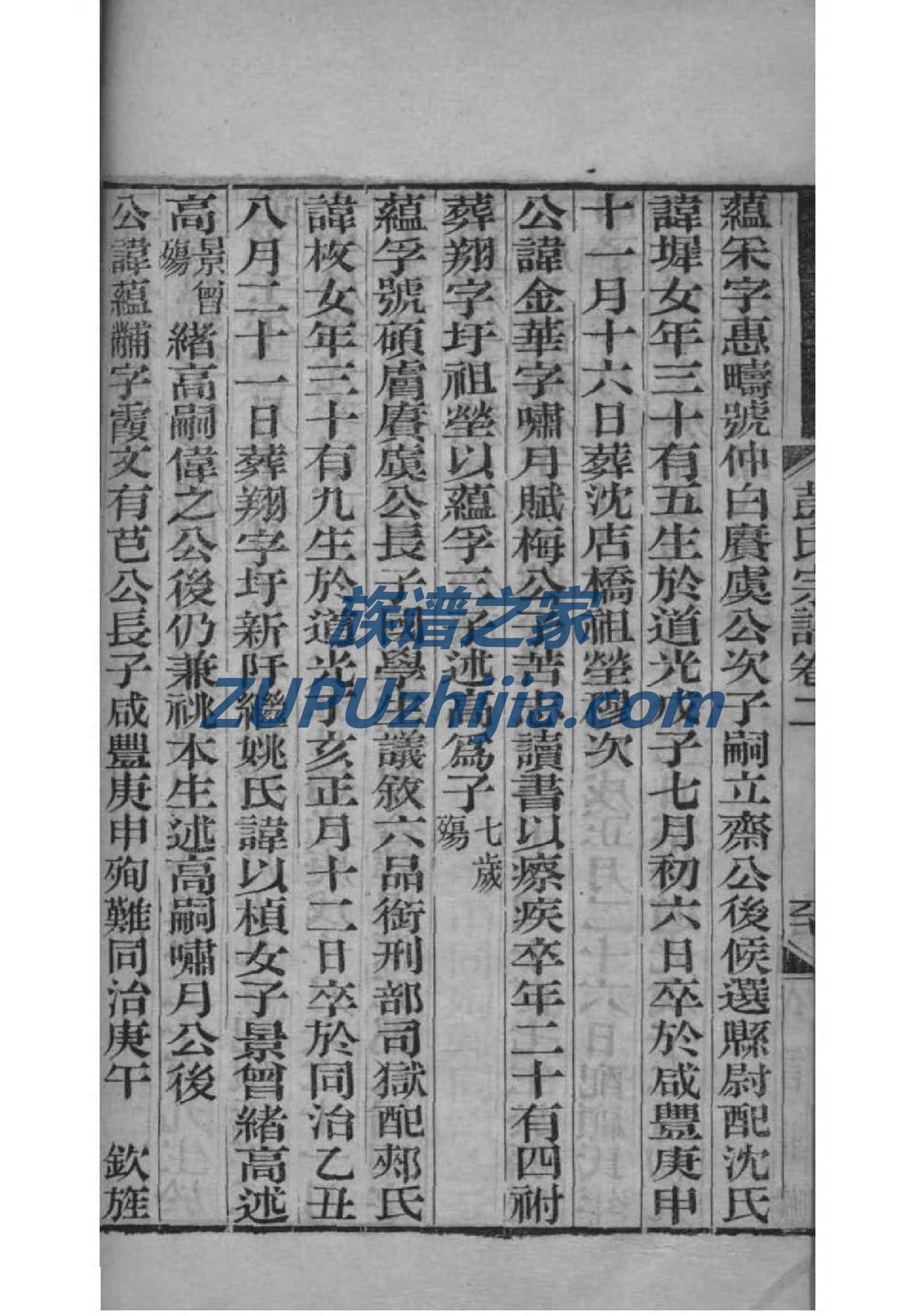 但氏族谱字辈查询表