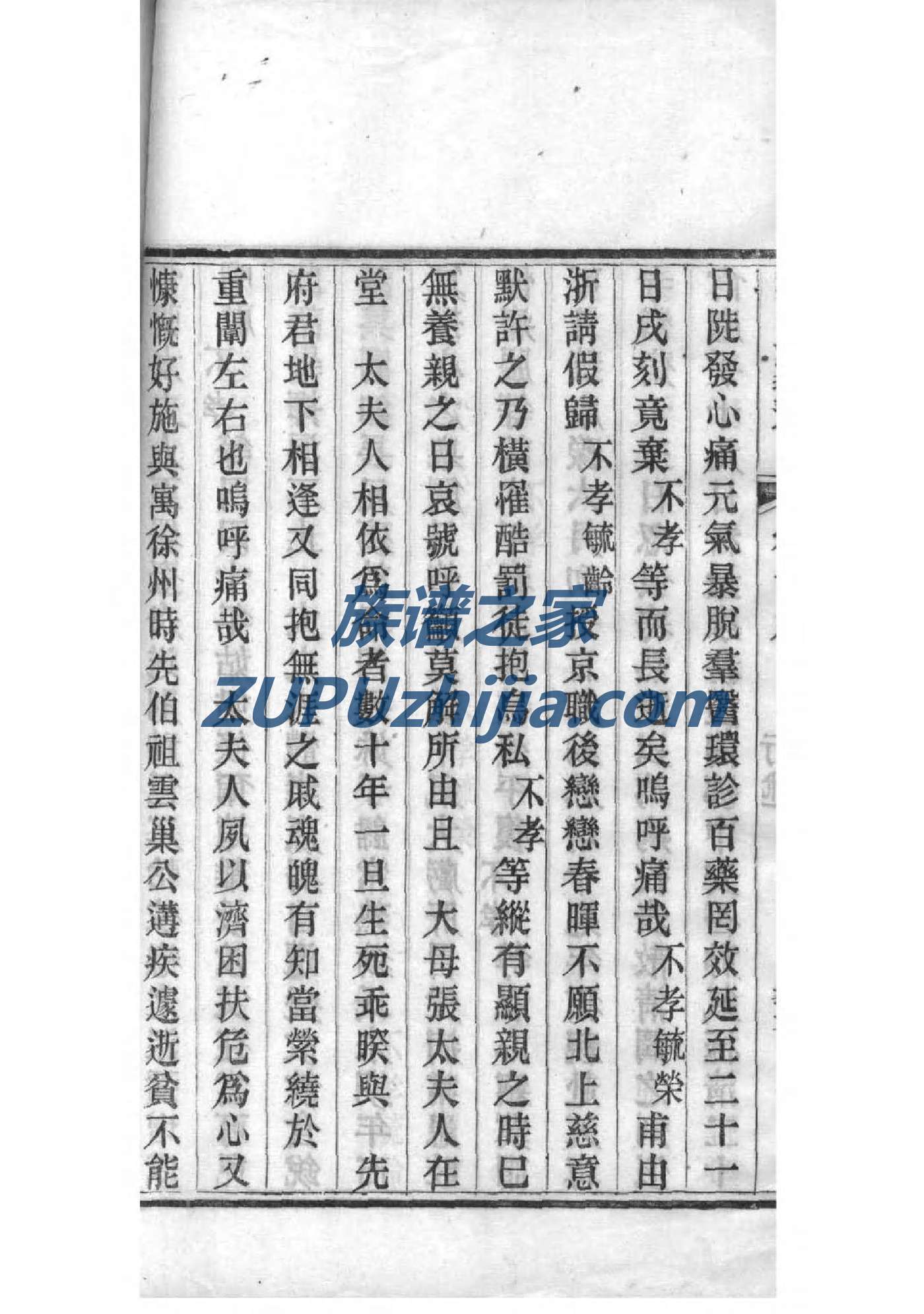 刘氏族谱字辈大全海口