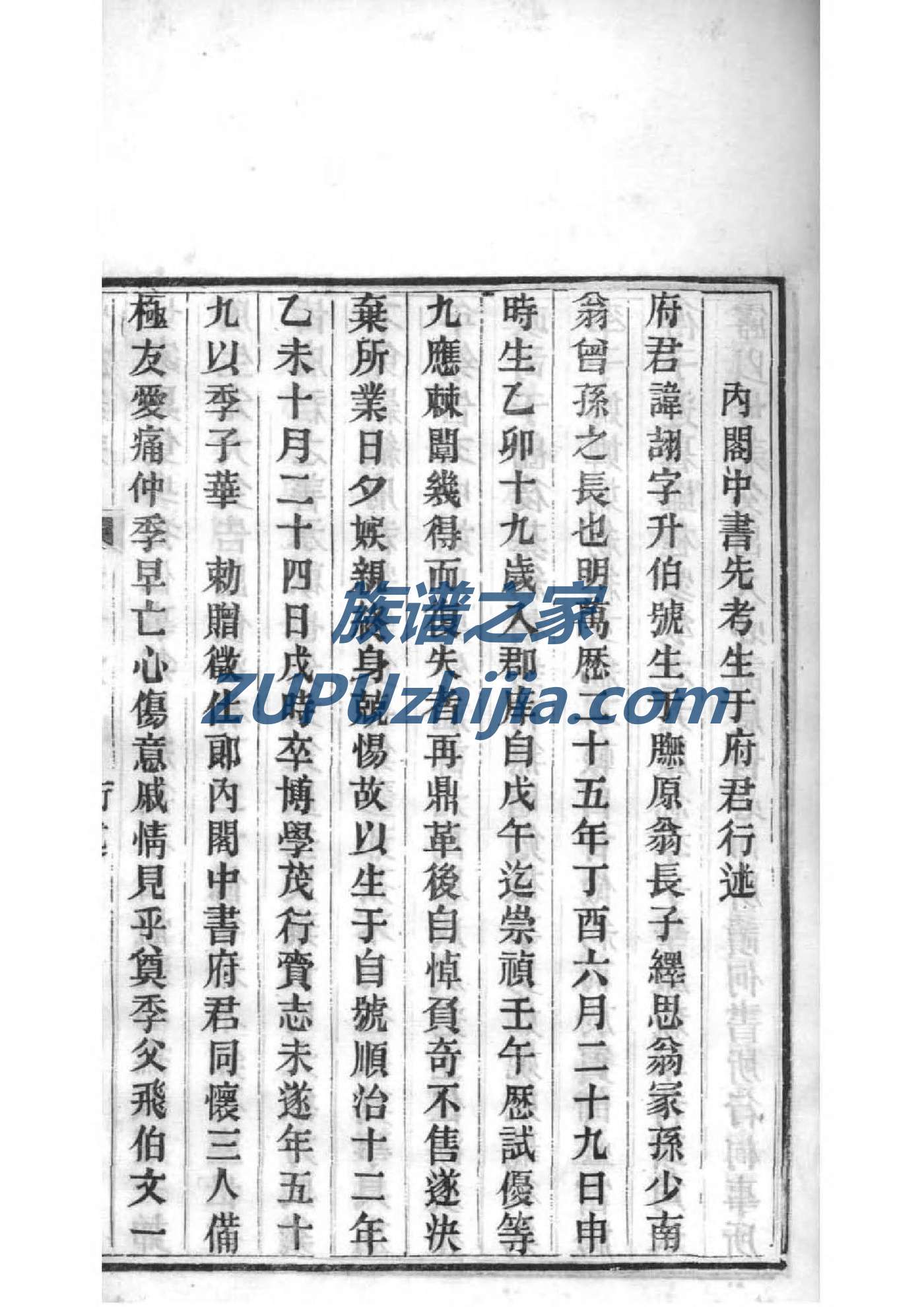 电子家谱制作软件