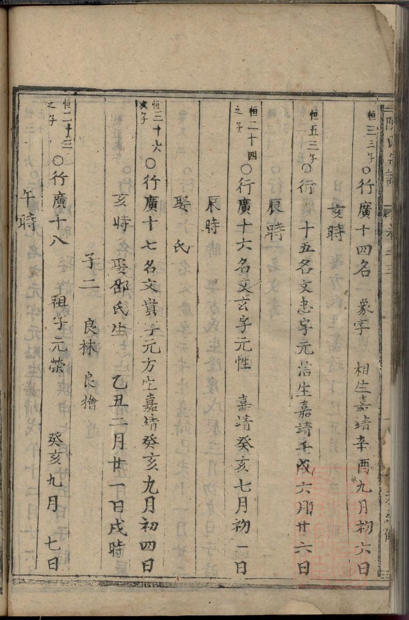 荤氏族谱视频