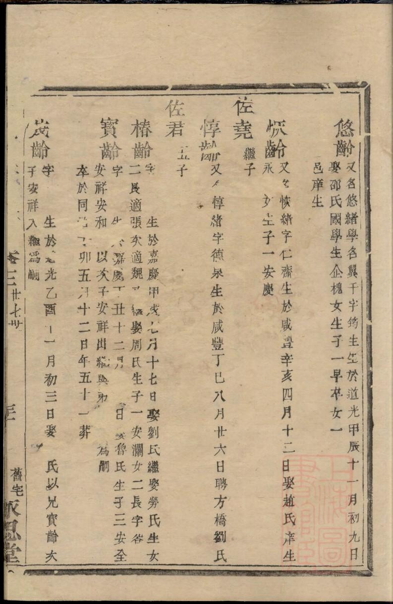 应家族谱查询