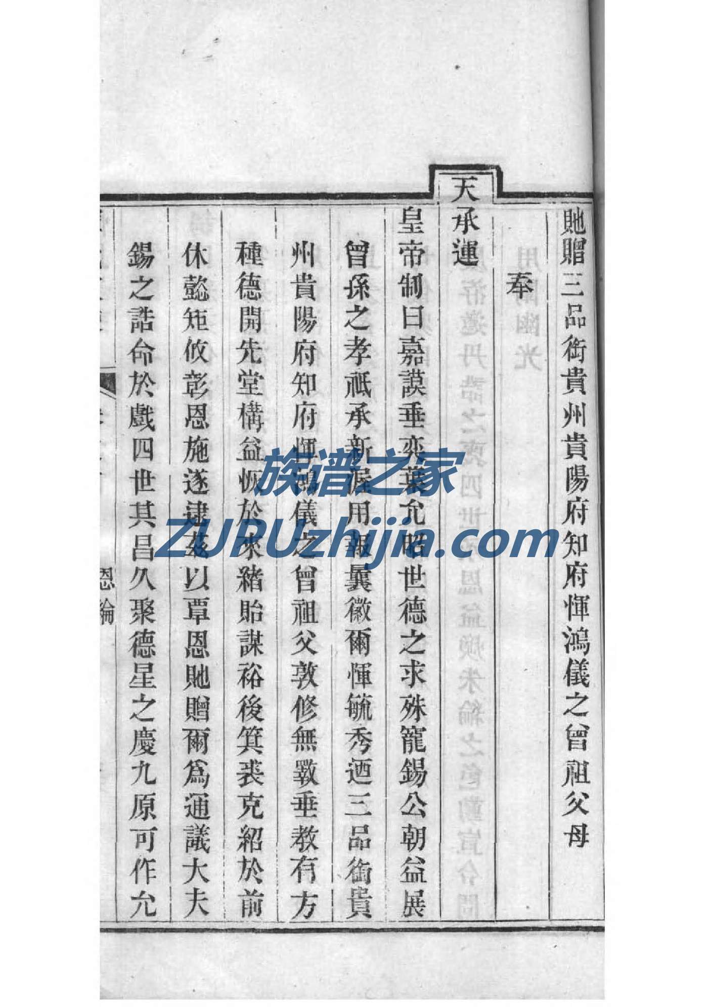 孙氏族谱浙江分支