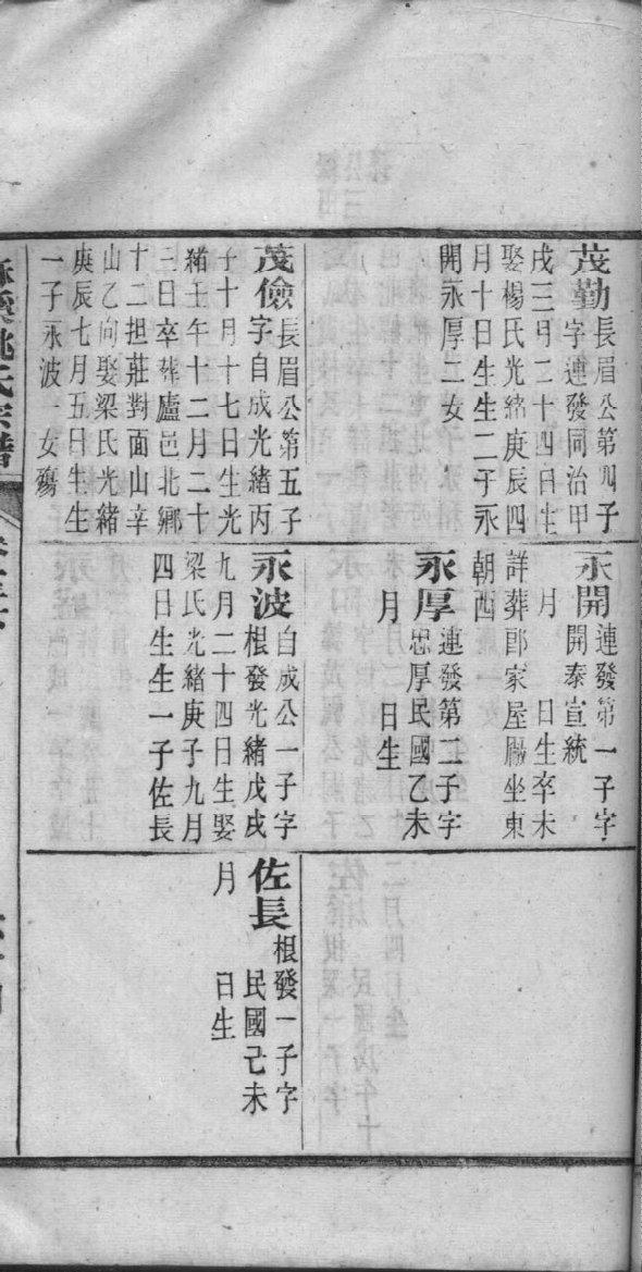 岑氏族谱视频