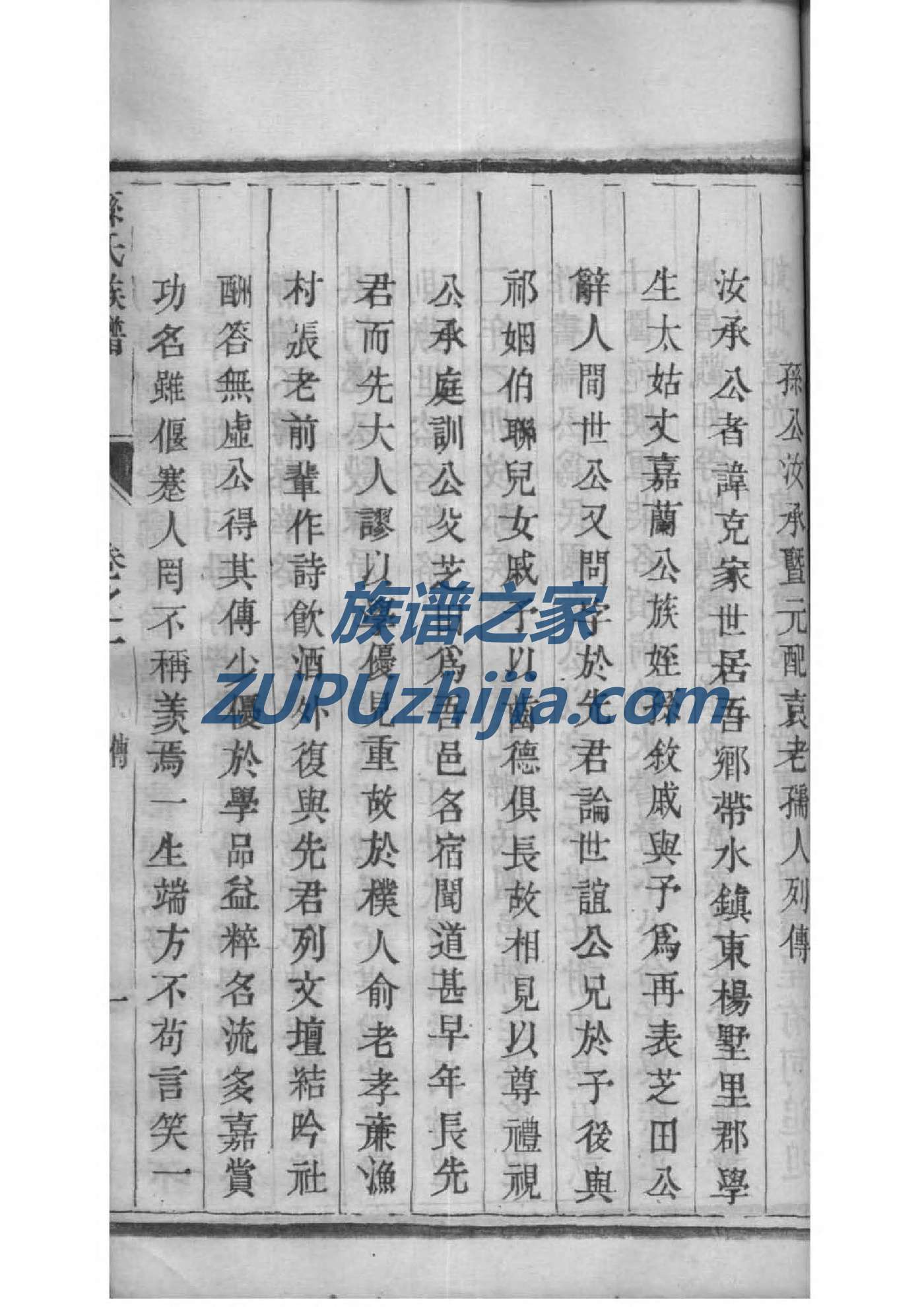 在氏族谱视频