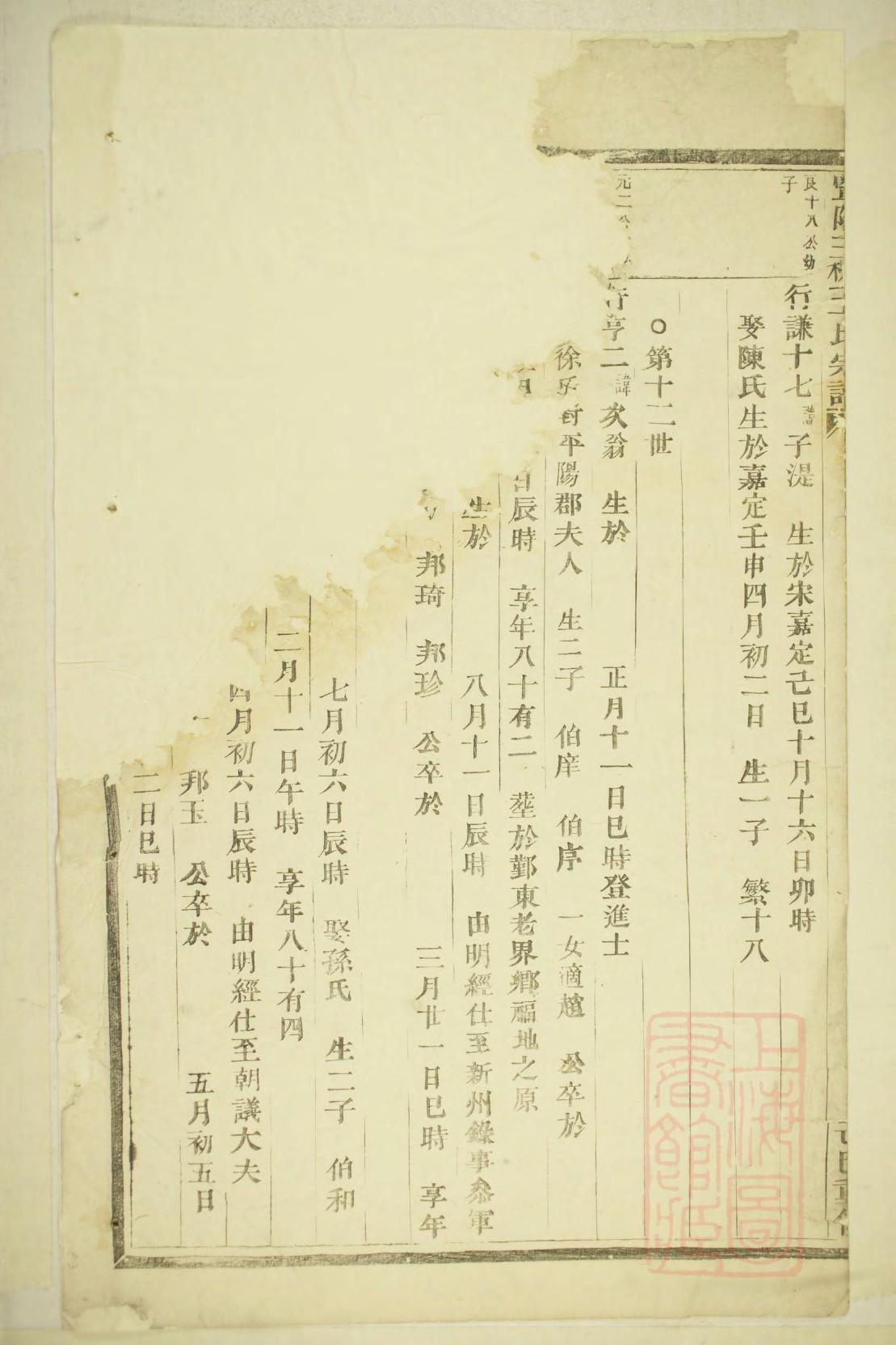 制作英语家谱图怎么画