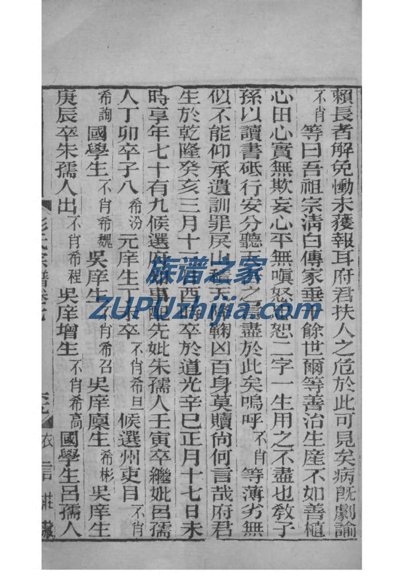接氏族谱
