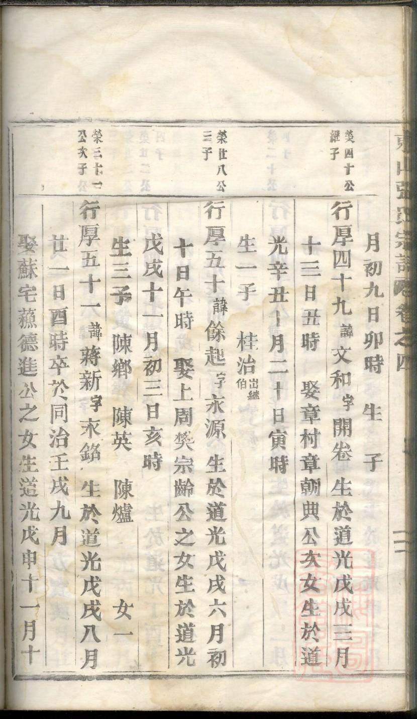 苍氏族谱的收藏价值