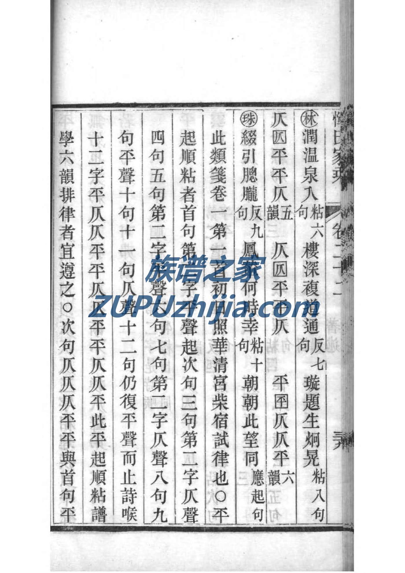 山西大槐树刘氏家谱
