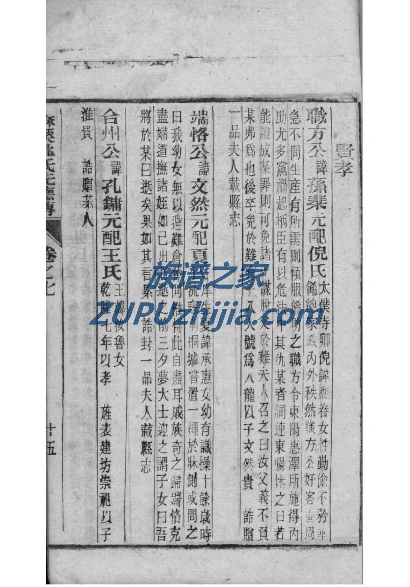 娄姓姓氏来源简介