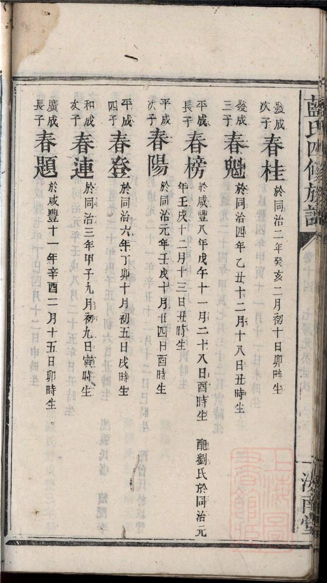 族谱家谱制作软件