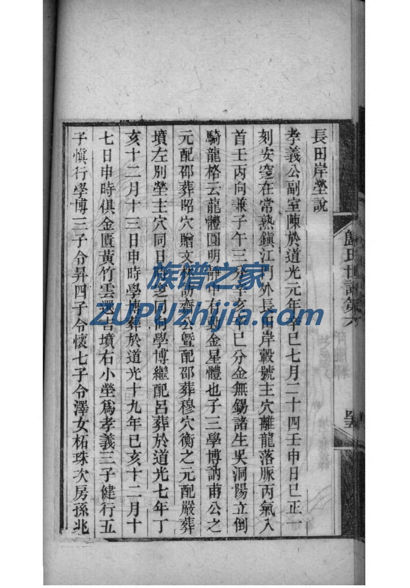 陈氏家谱网