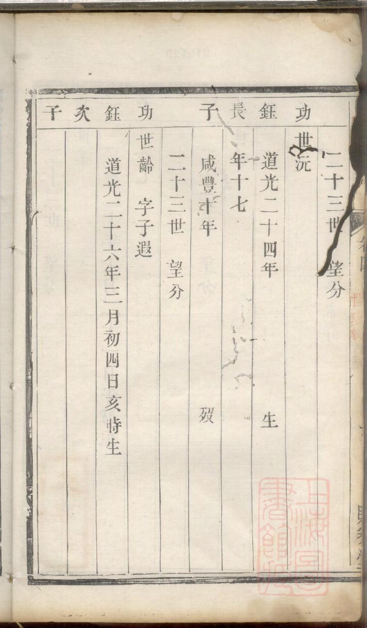 六安张氏族谱查询