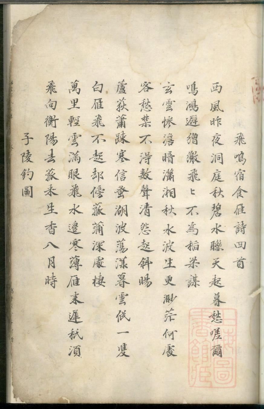 张氏族谱字辈查询表