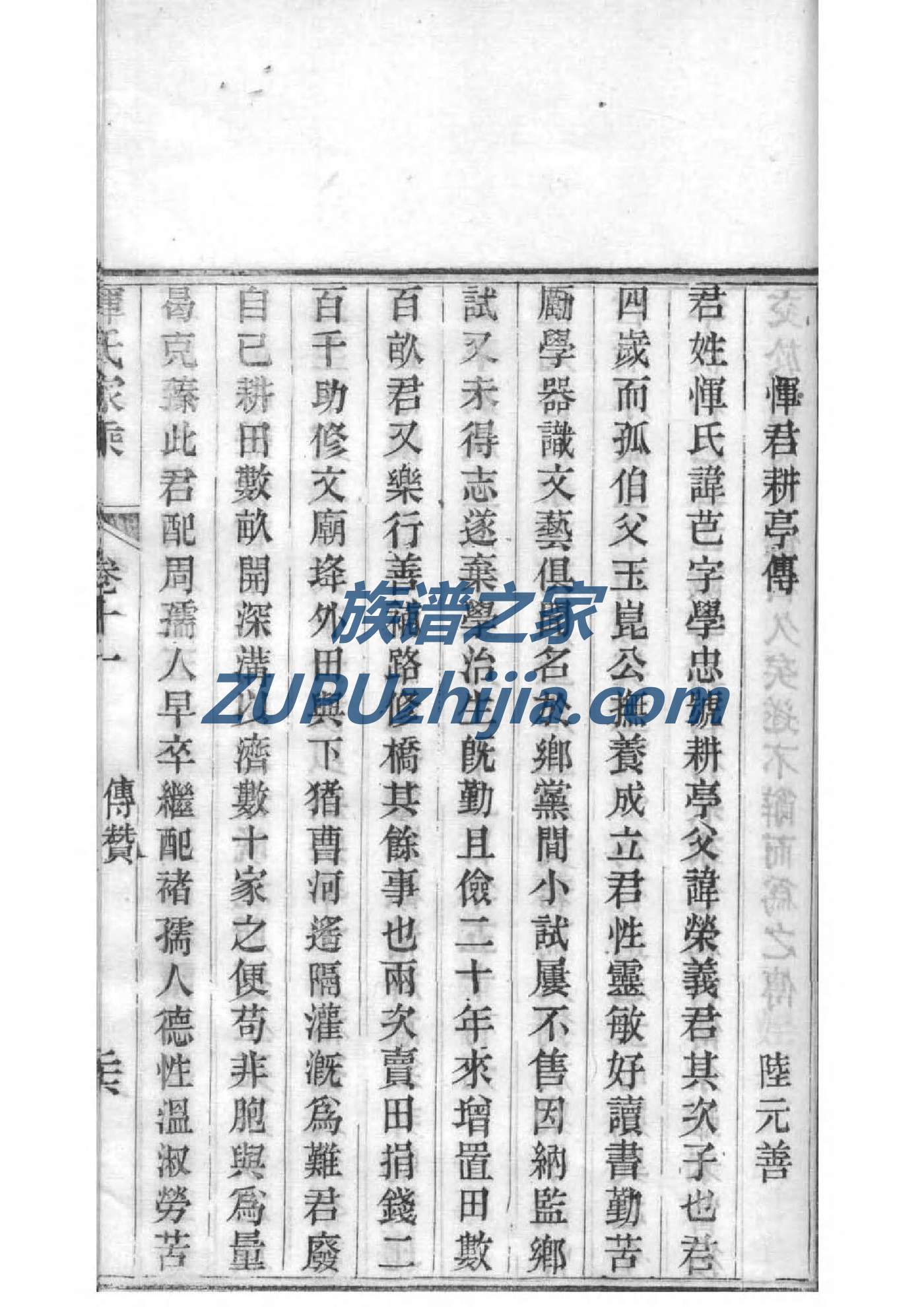 称氏族谱字辈查询表