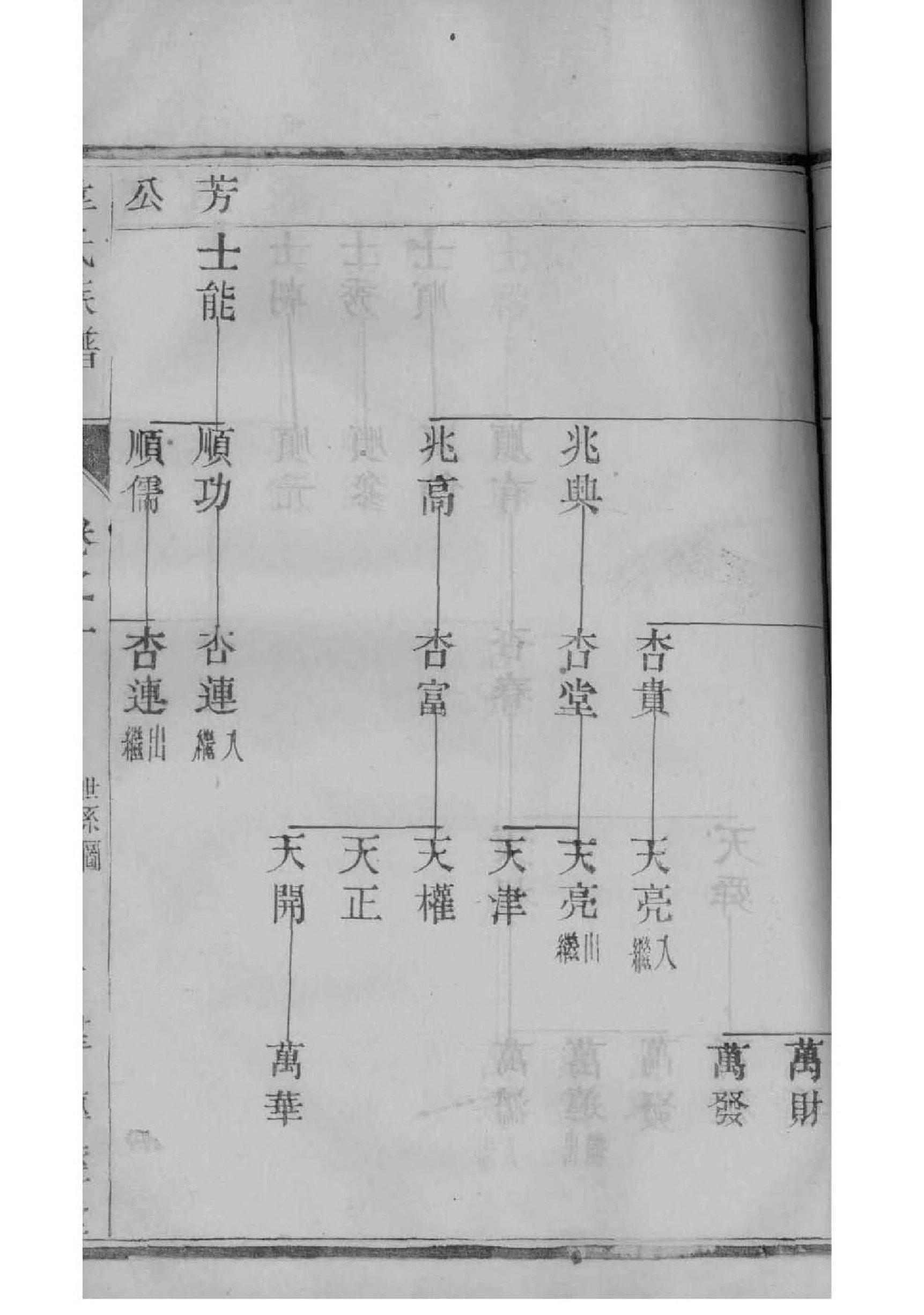 皮氏族谱完整版