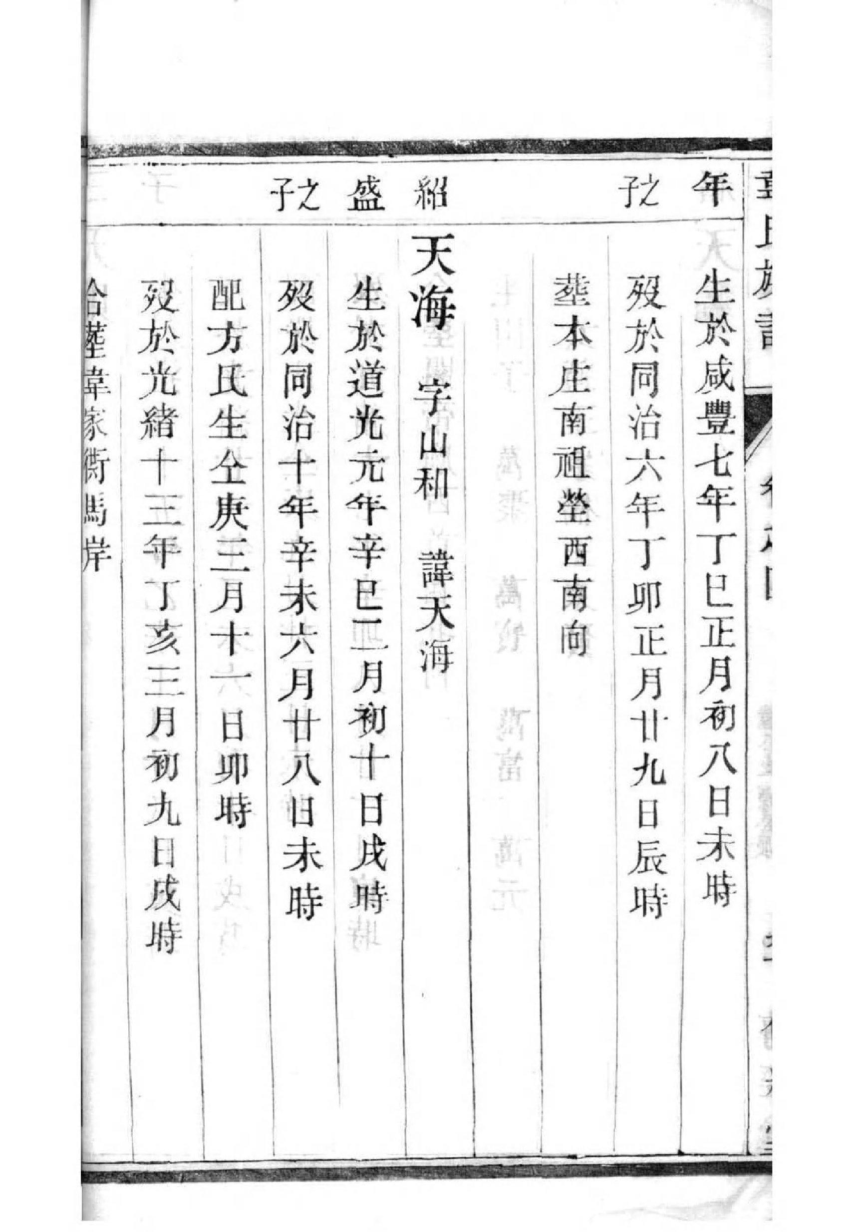 在线家谱制作模板