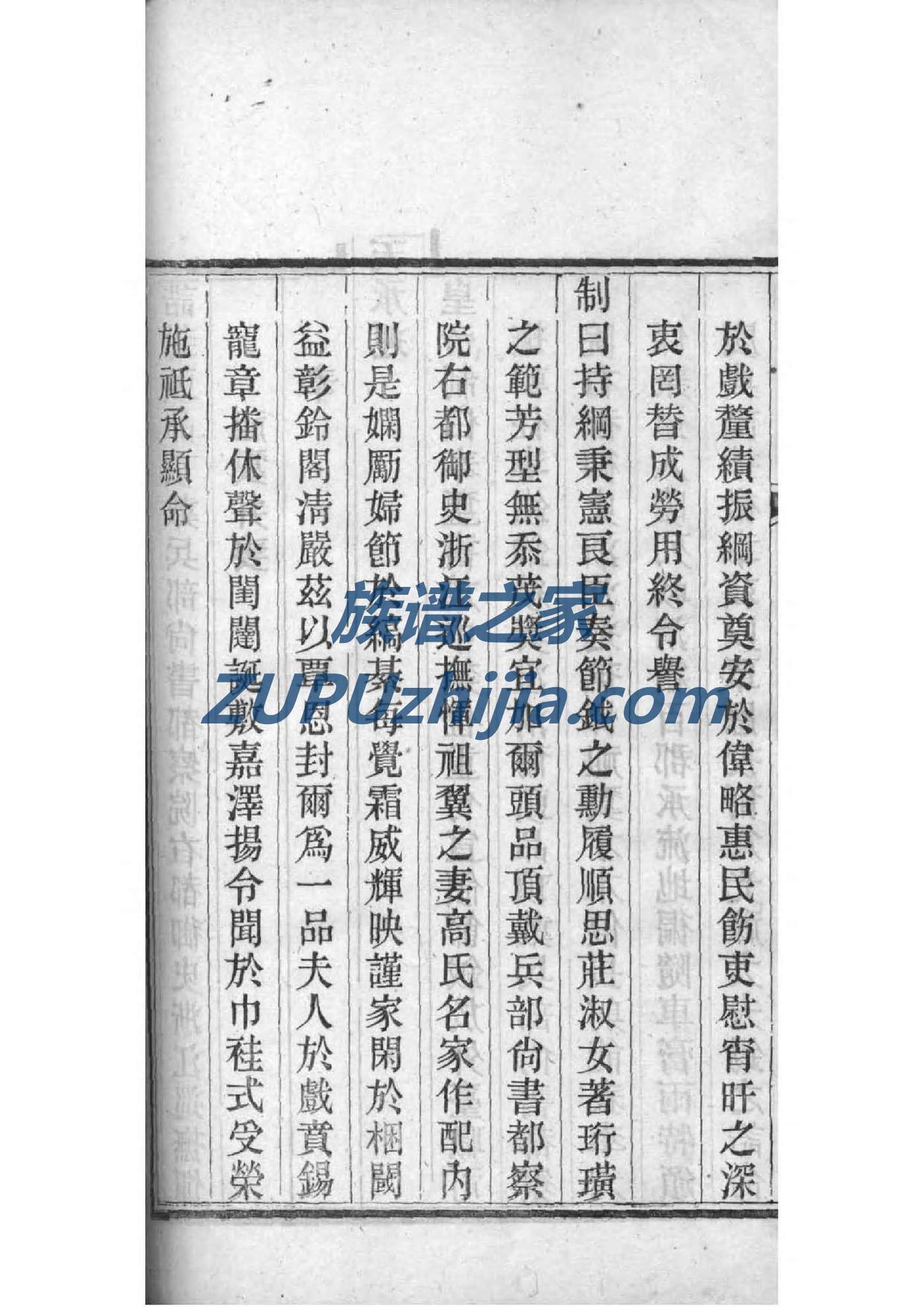 秦氏族谱河南分支