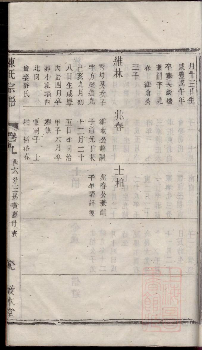 别氏族谱字辈大全集