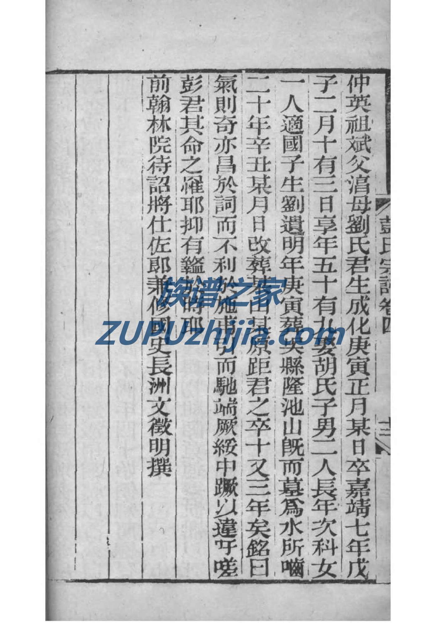 罗氏族谱购买价格