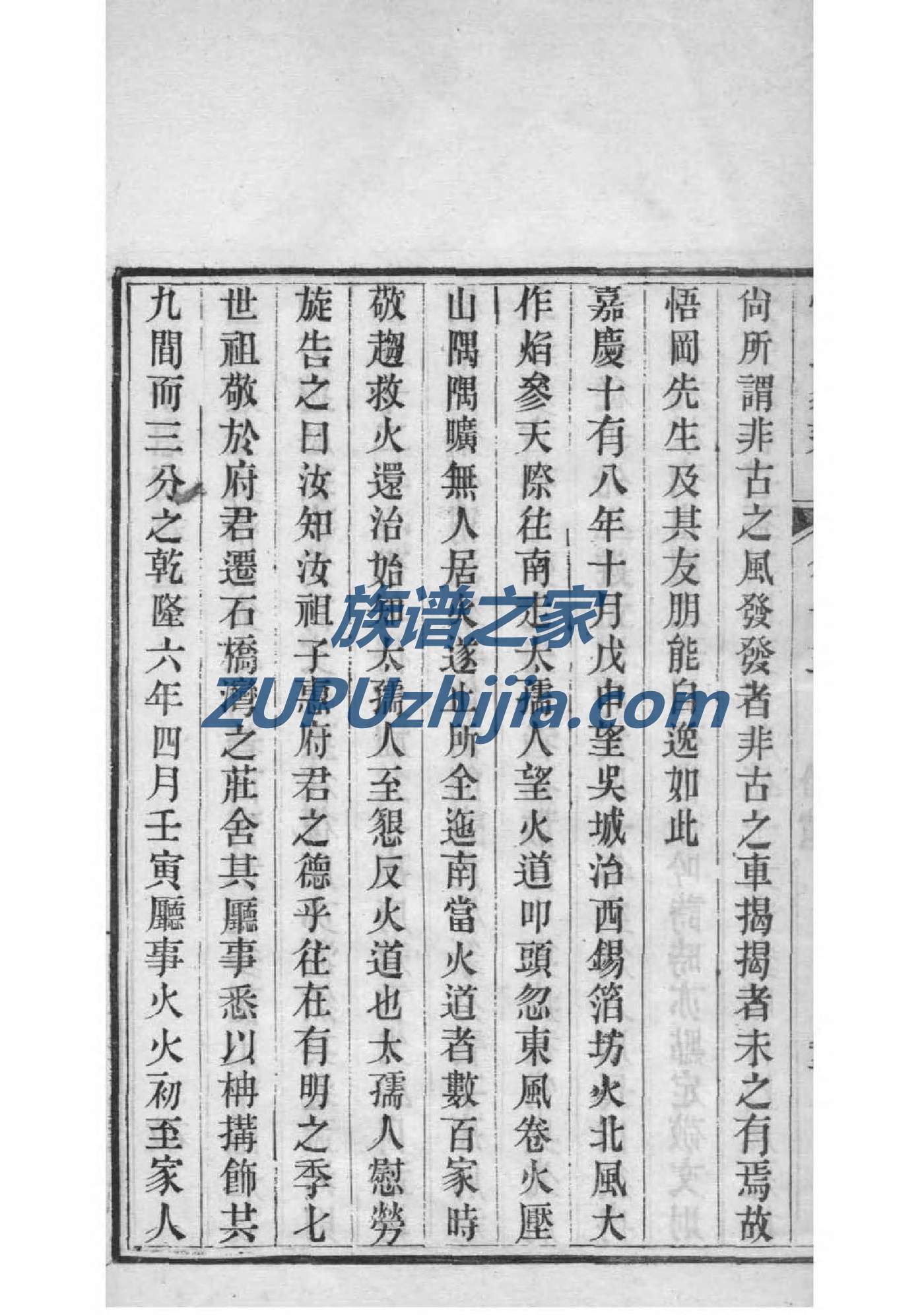 台家家谱查询