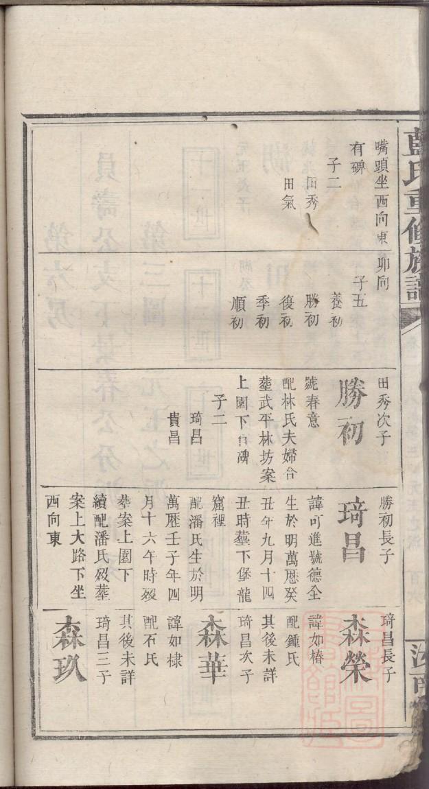 大秦赢氏族谱
