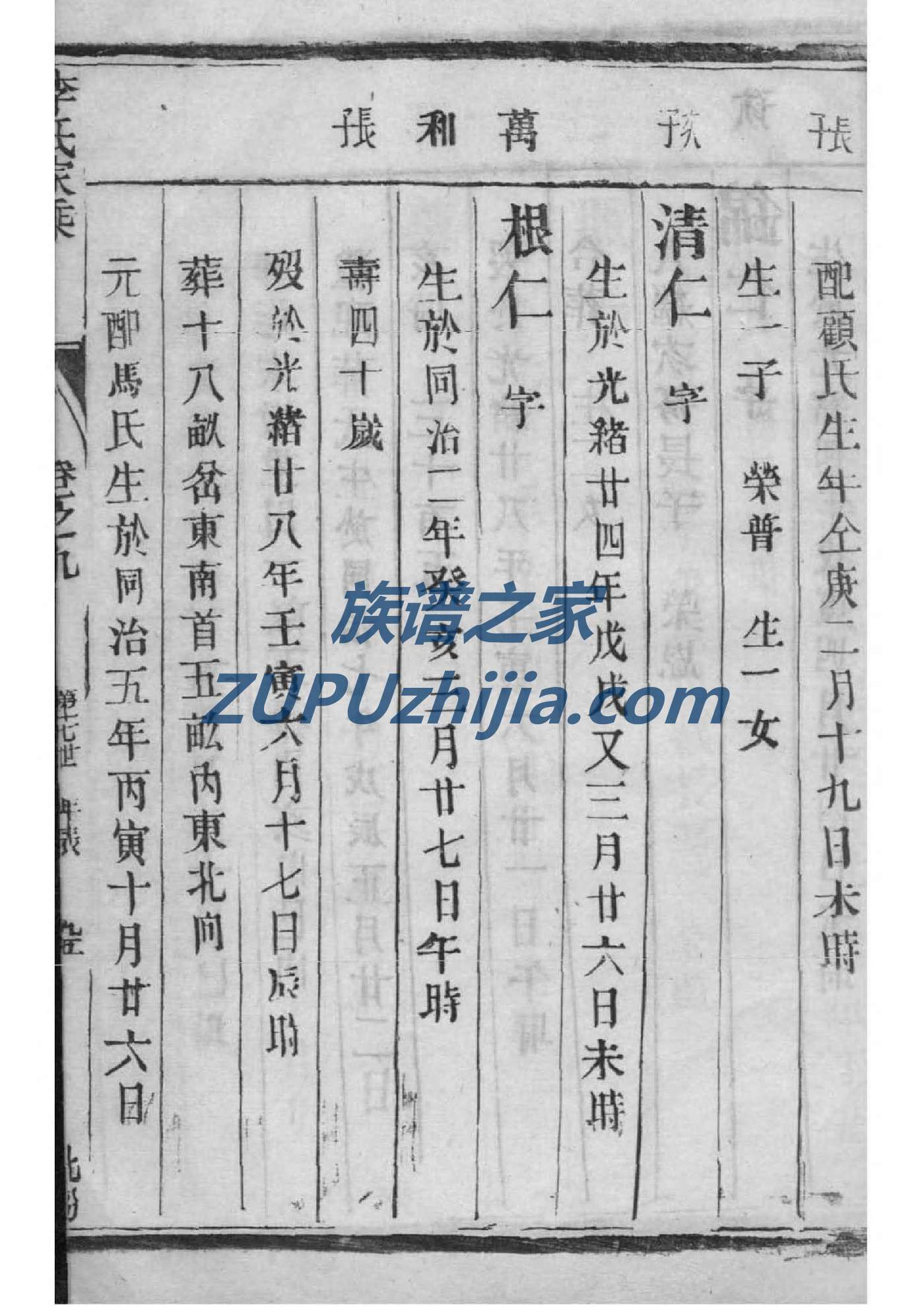 怎样制作家谱的格式