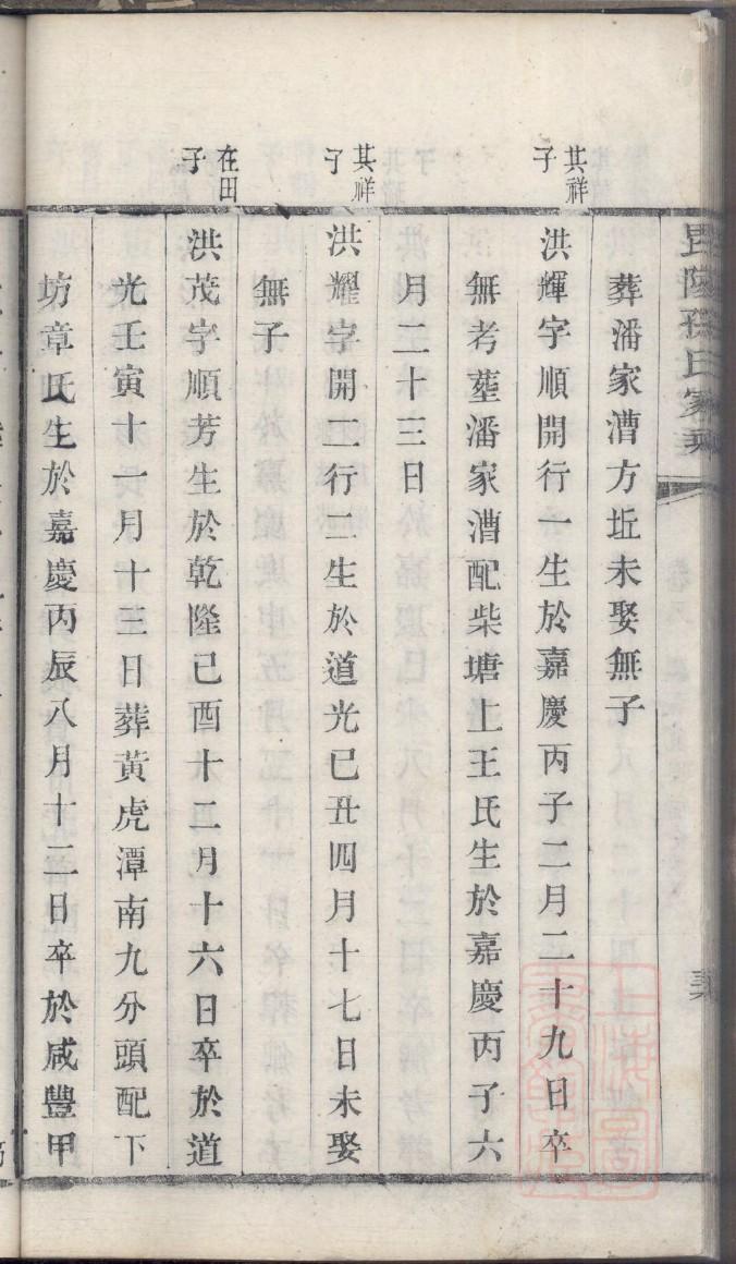 权家家谱查询