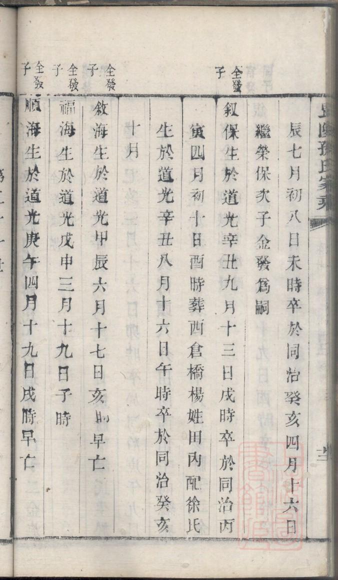 免费查家谱杨氏族谱