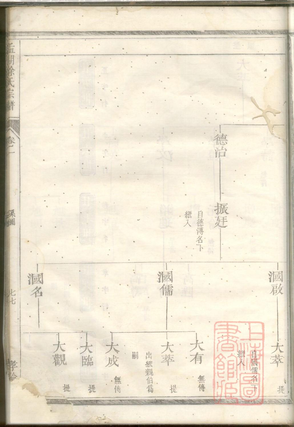 巢家族谱查询