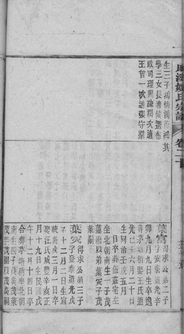 泰氏族谱图片