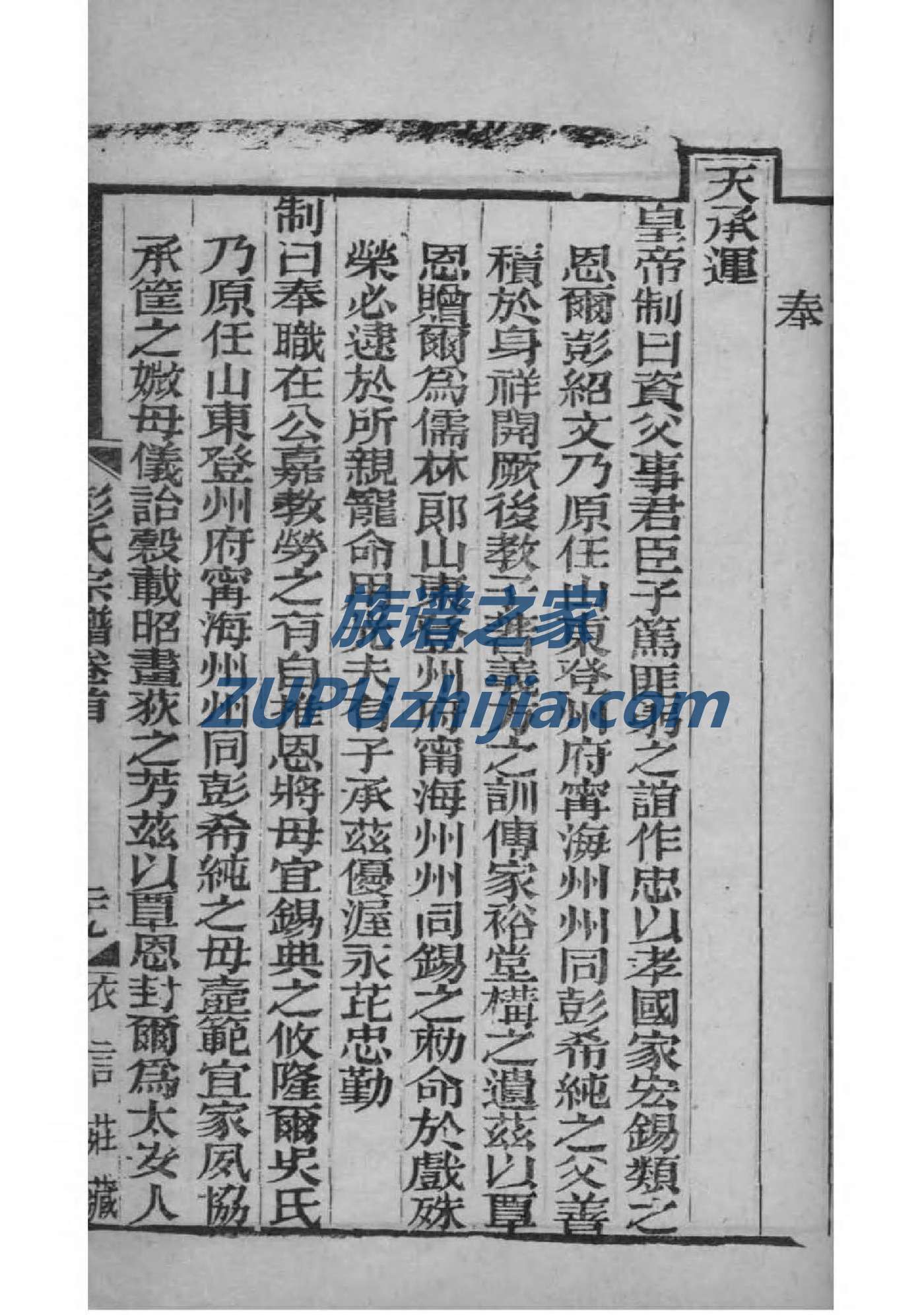 长谷氏家谱族谱在哪里看