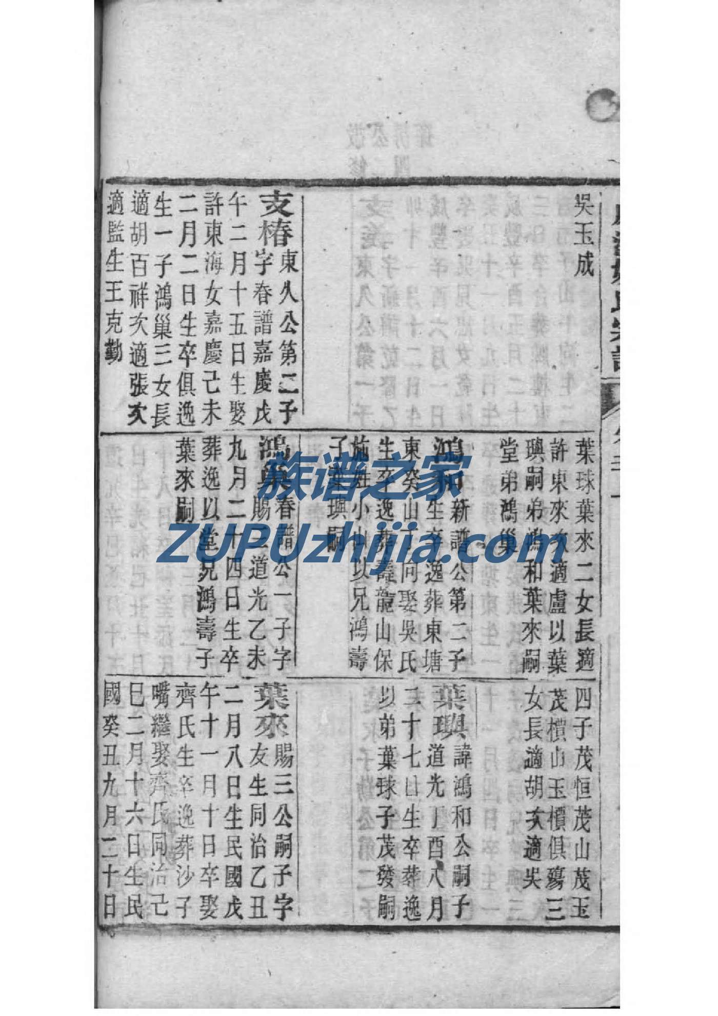 杨姓家谱