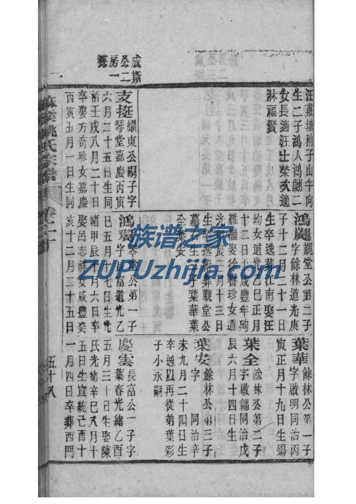 制做族谱