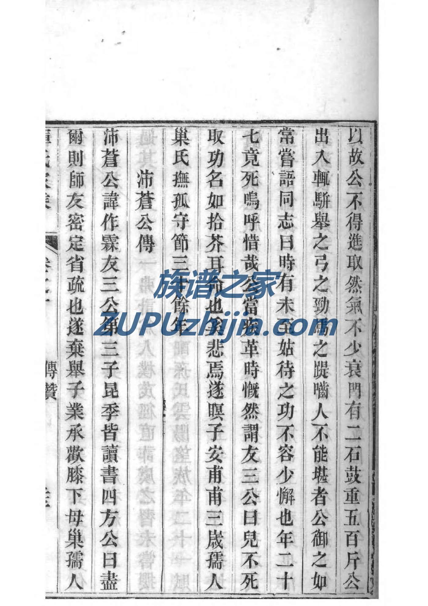 孙家族谱查询