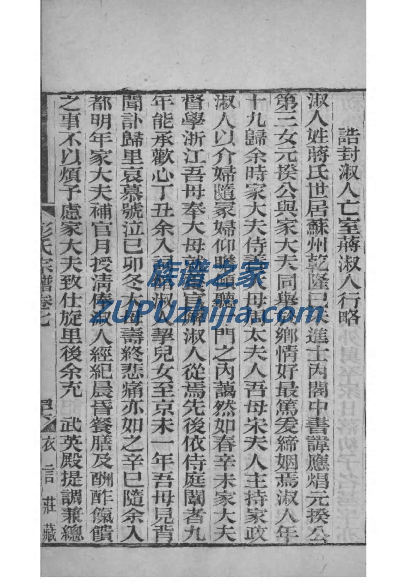 许氏族谱上海分支