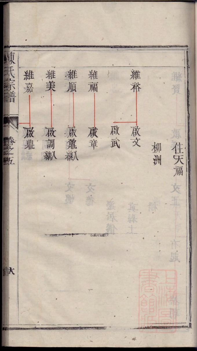 家谱族谱本