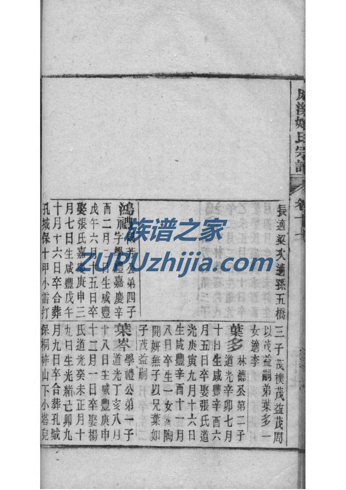 养氏家谱网