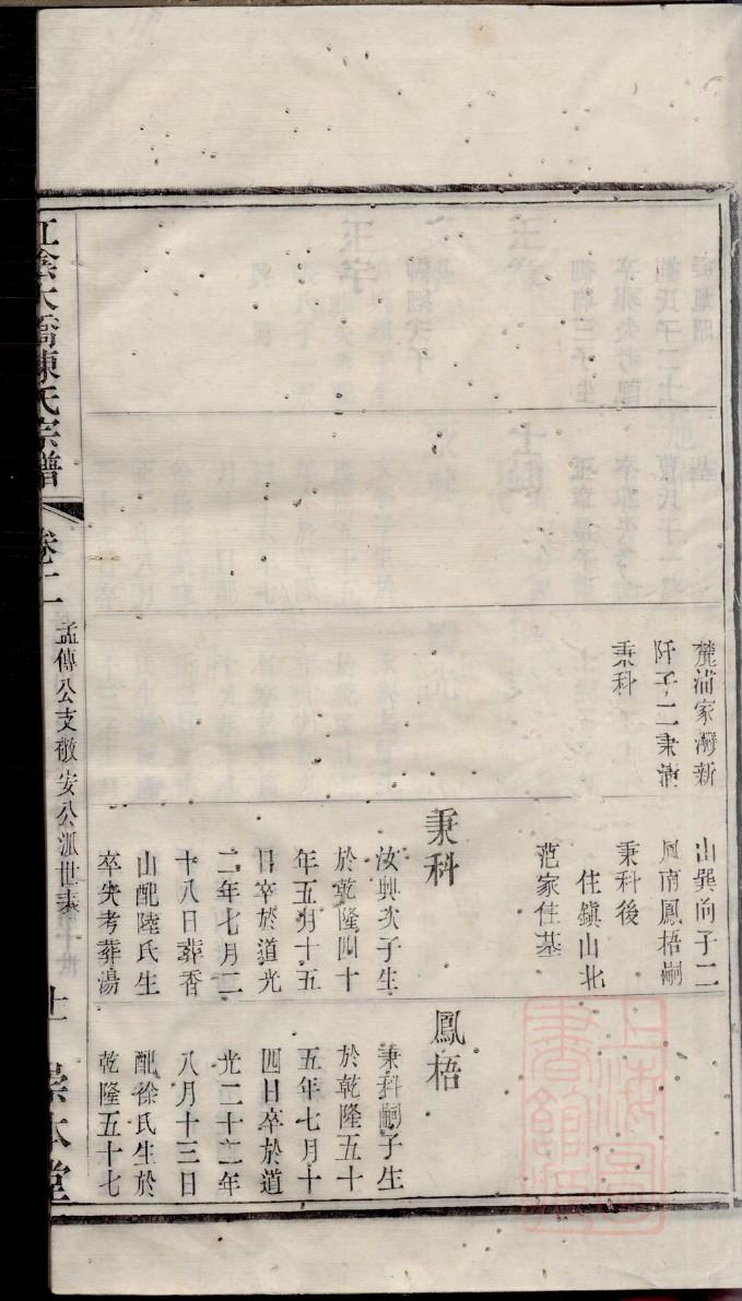 唐氏族谱下载