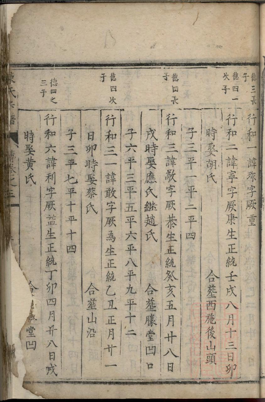 家谱树
