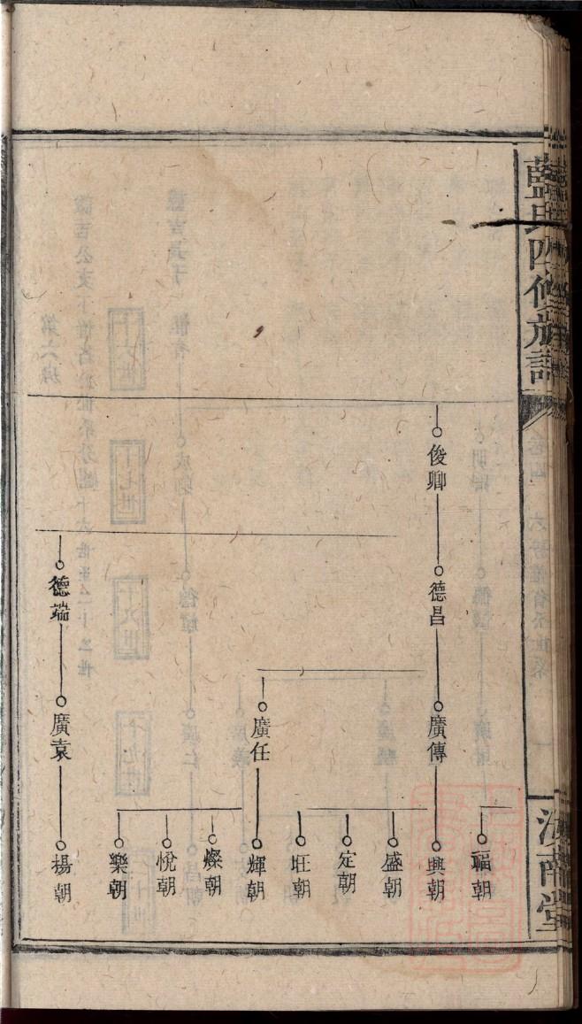 师家族谱查询