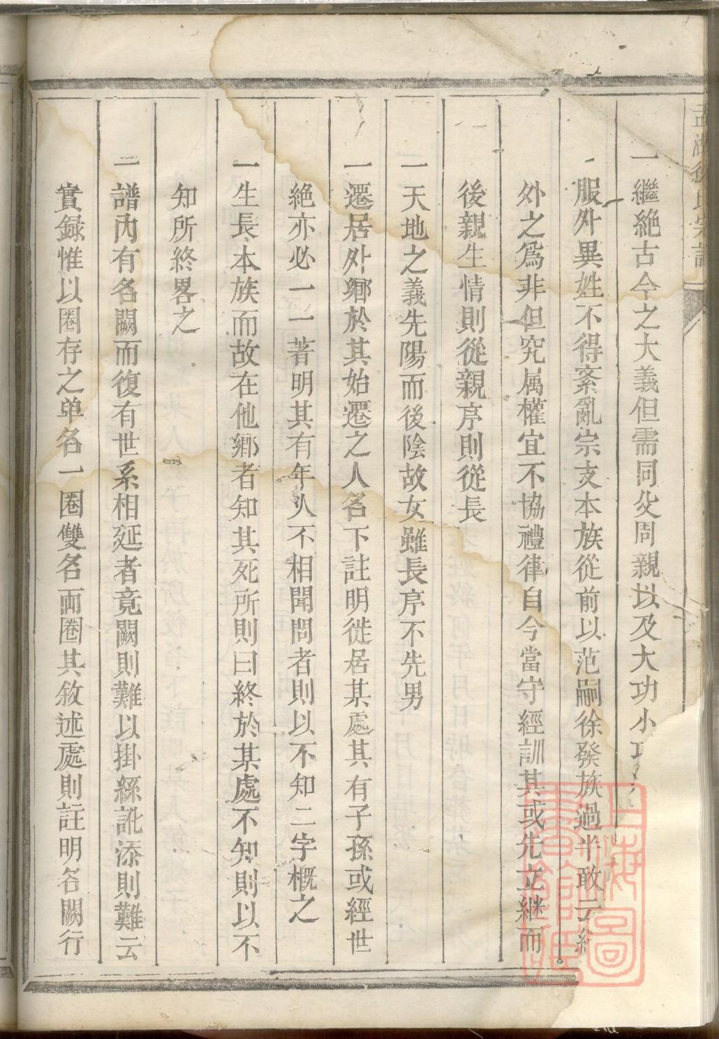 家谱世系图制作软件