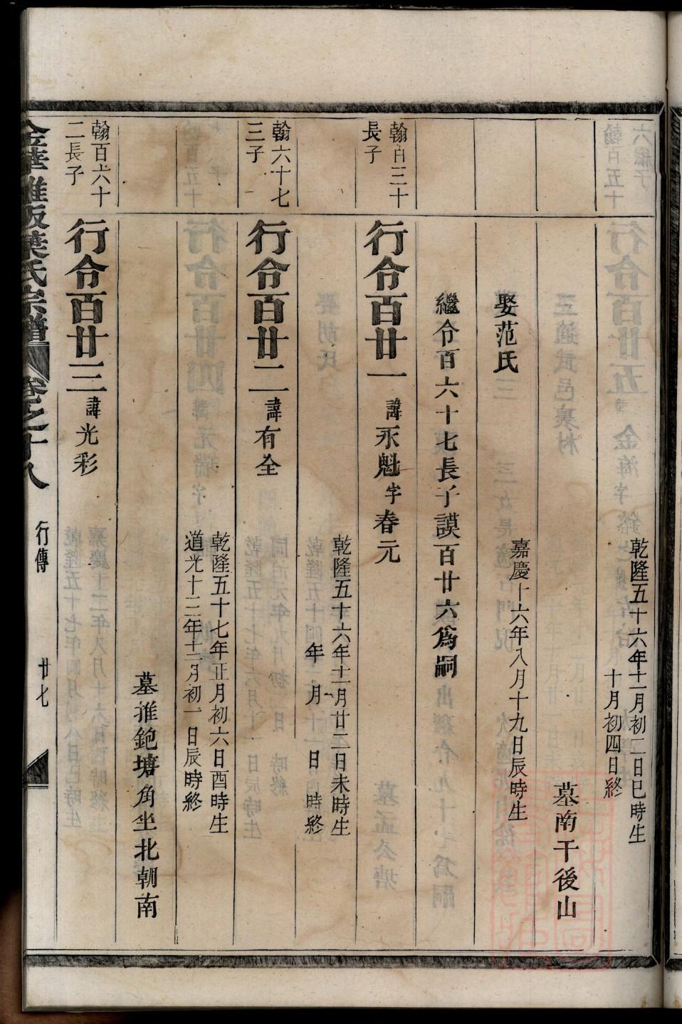 猫武士家族谱系图