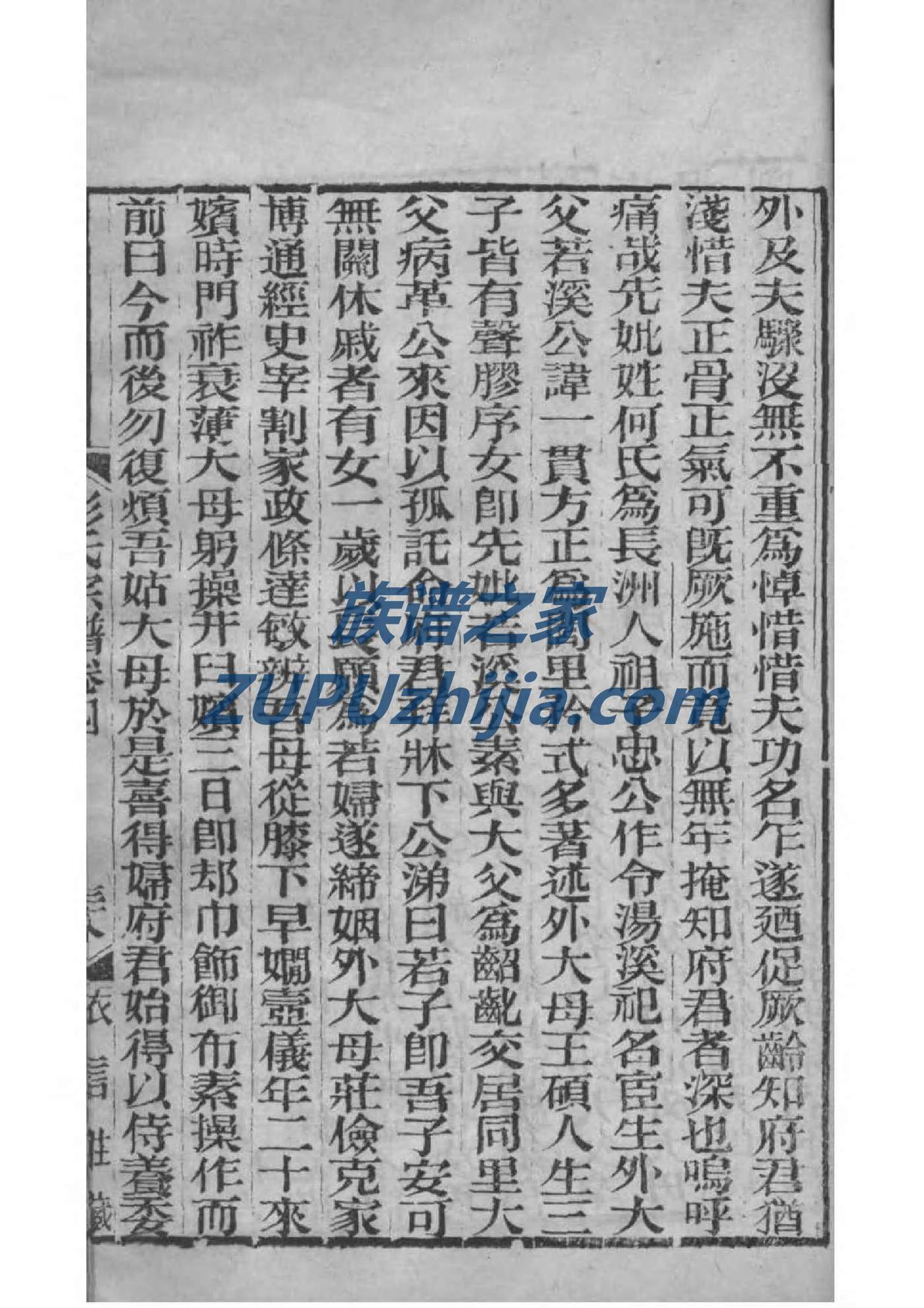 滑氏族谱的收藏价值