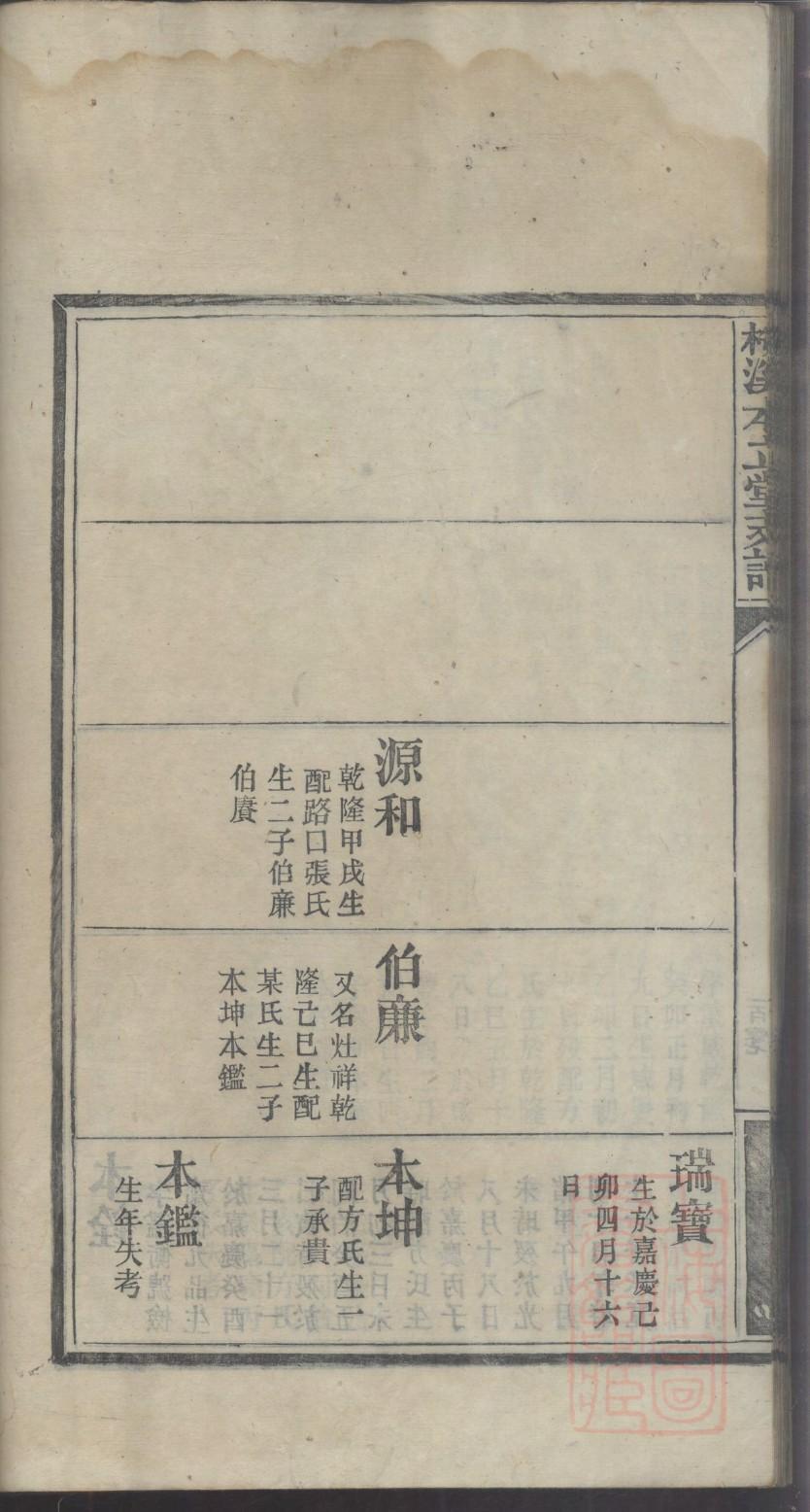 族谱PPT图片
