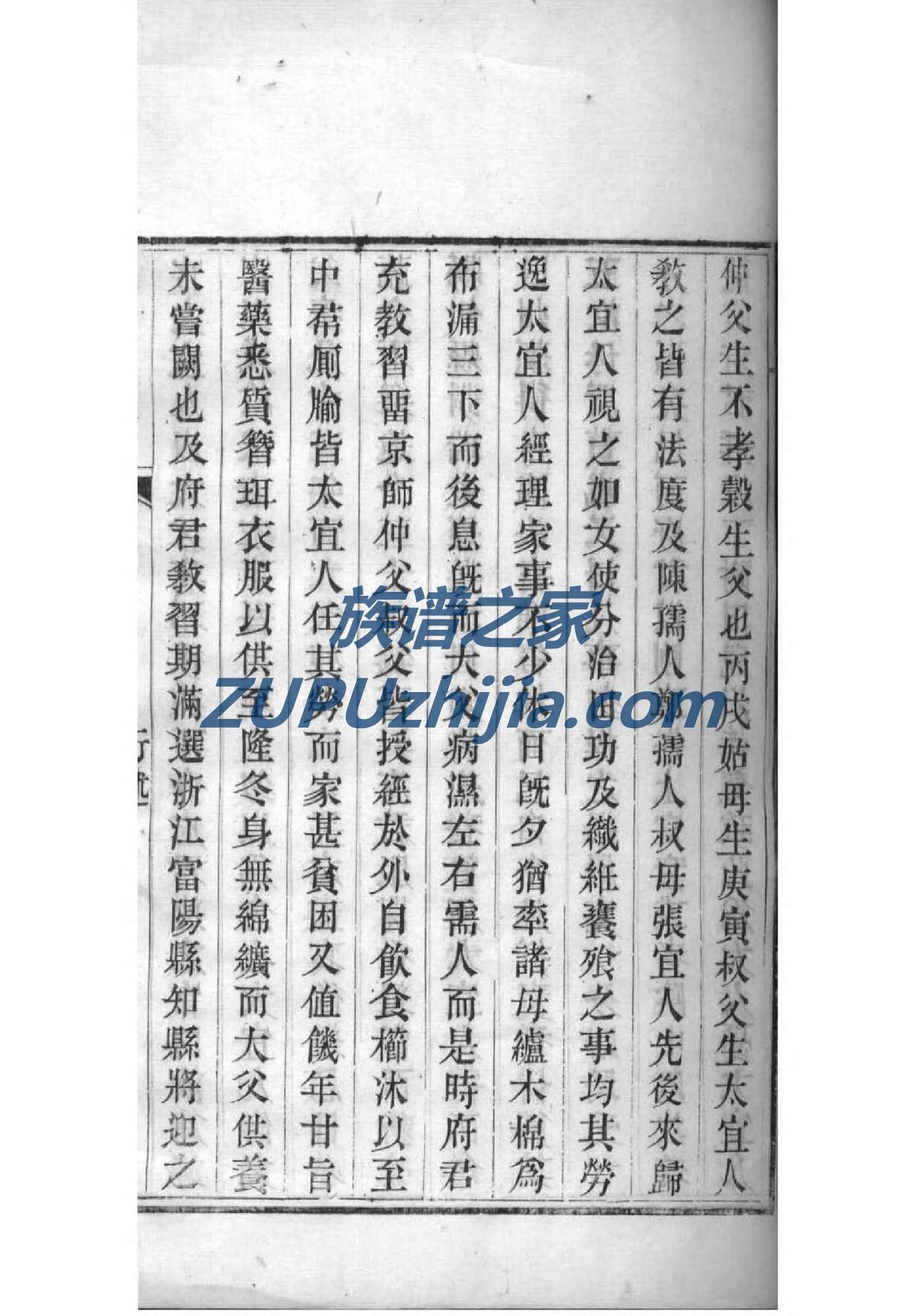 族谱记