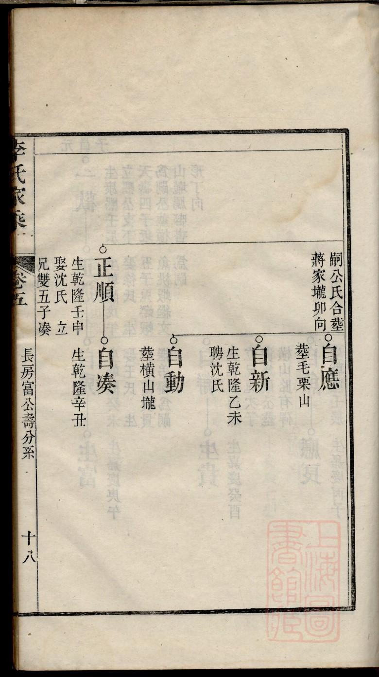 树形家谱制作