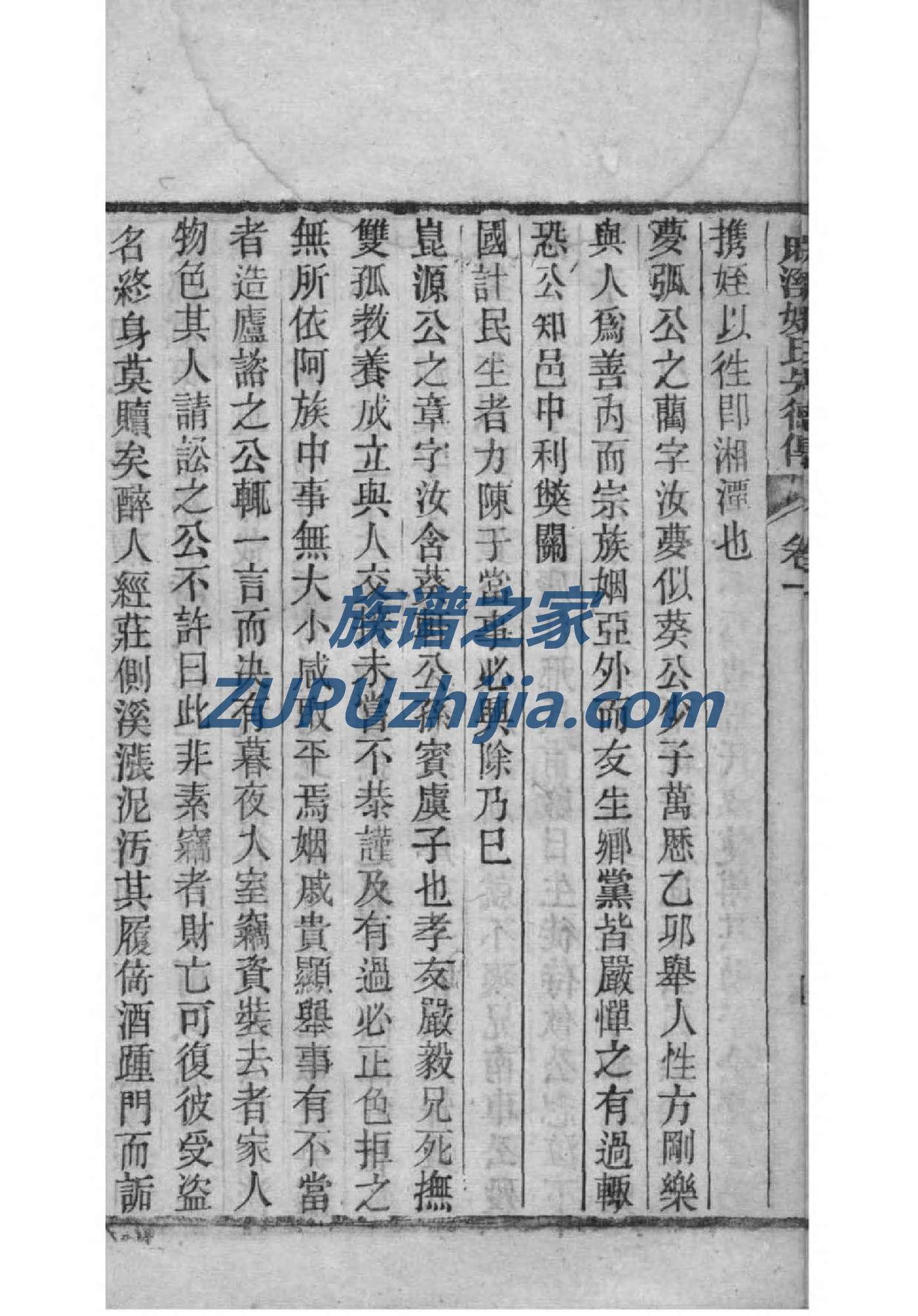 齐氏家谱网